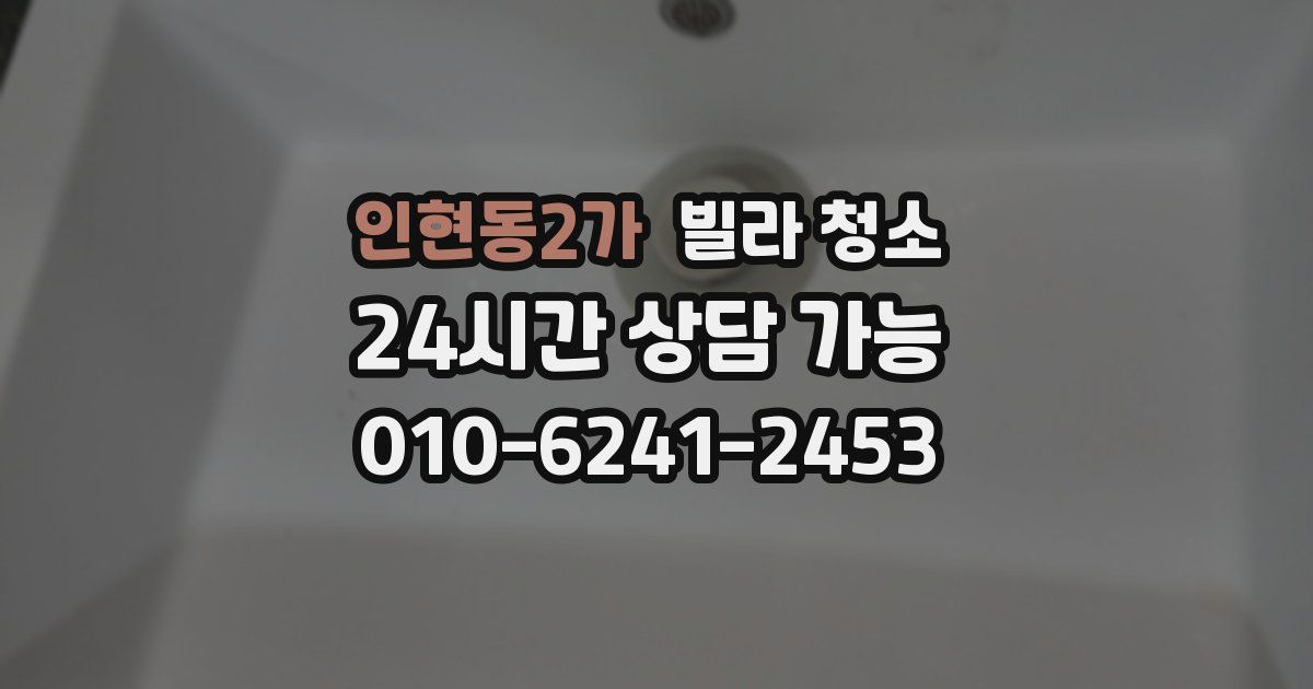 인현동2가 빌라 청소