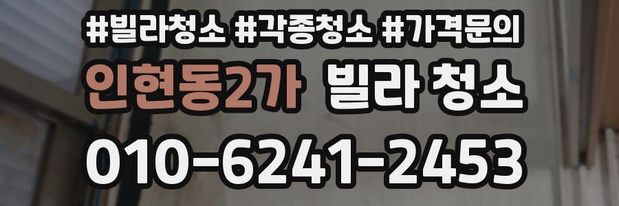 인현동2가 빌라 청소