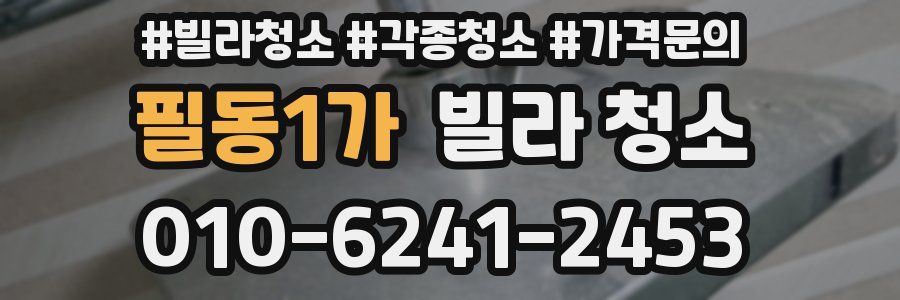 필동1가 빌라 청소