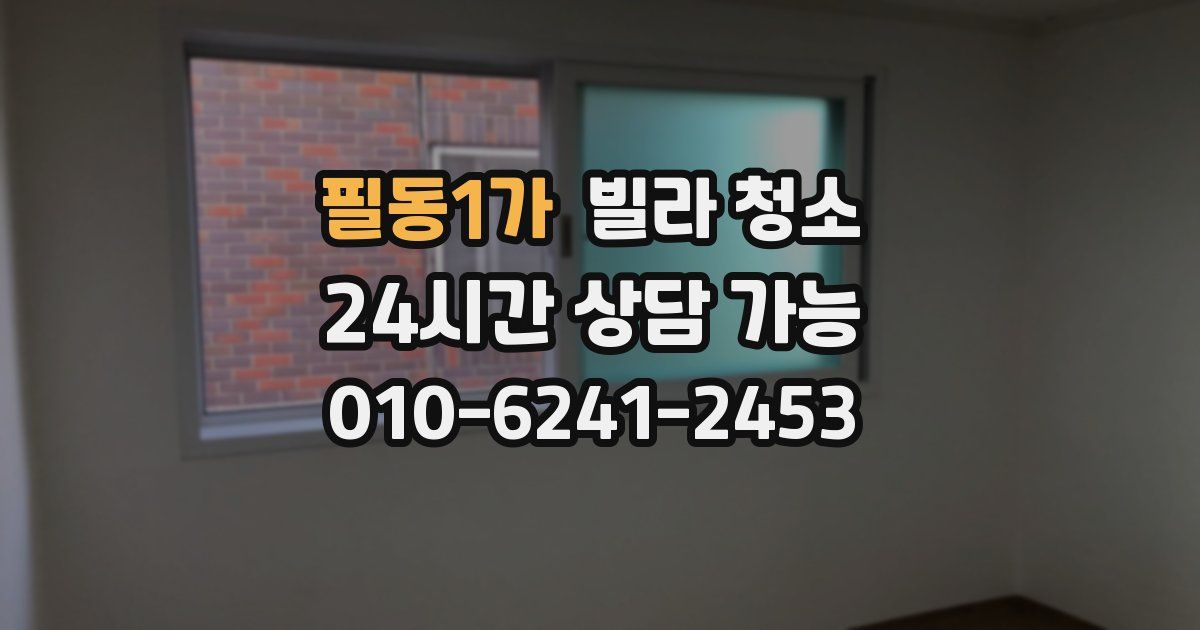 필동1가 빌라 청소