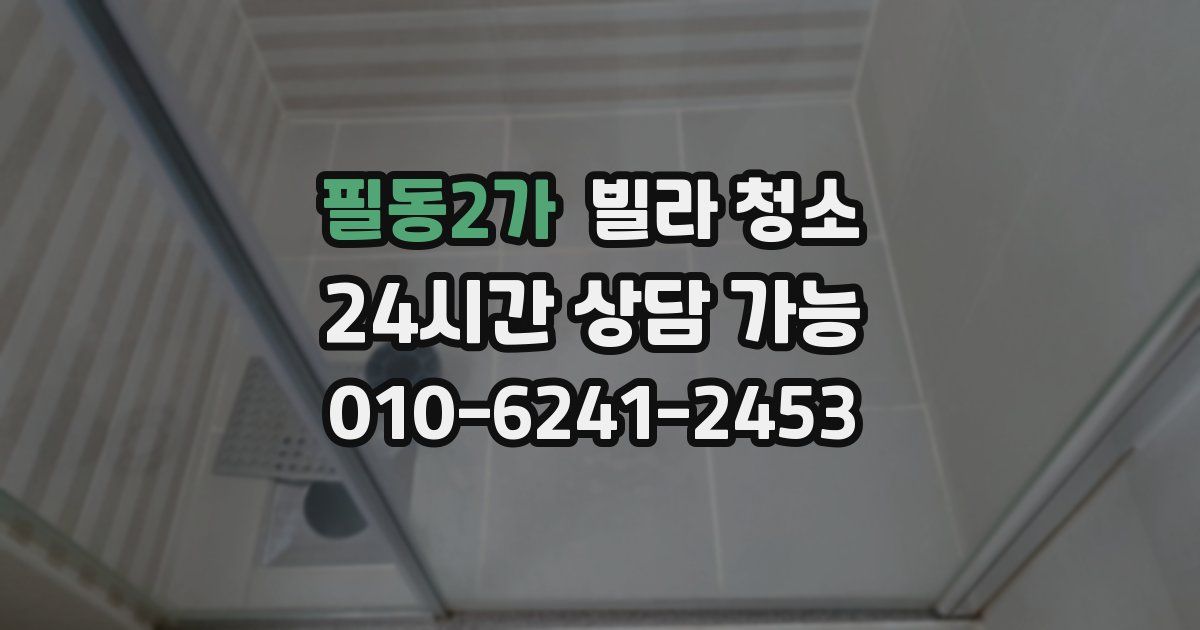 필동2가 빌라 청소