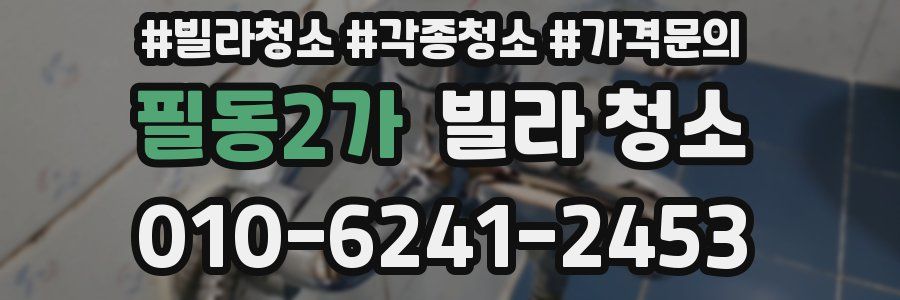 필동2가 빌라 청소