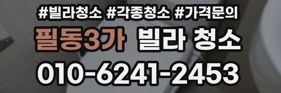 필동3가 빌라 청소