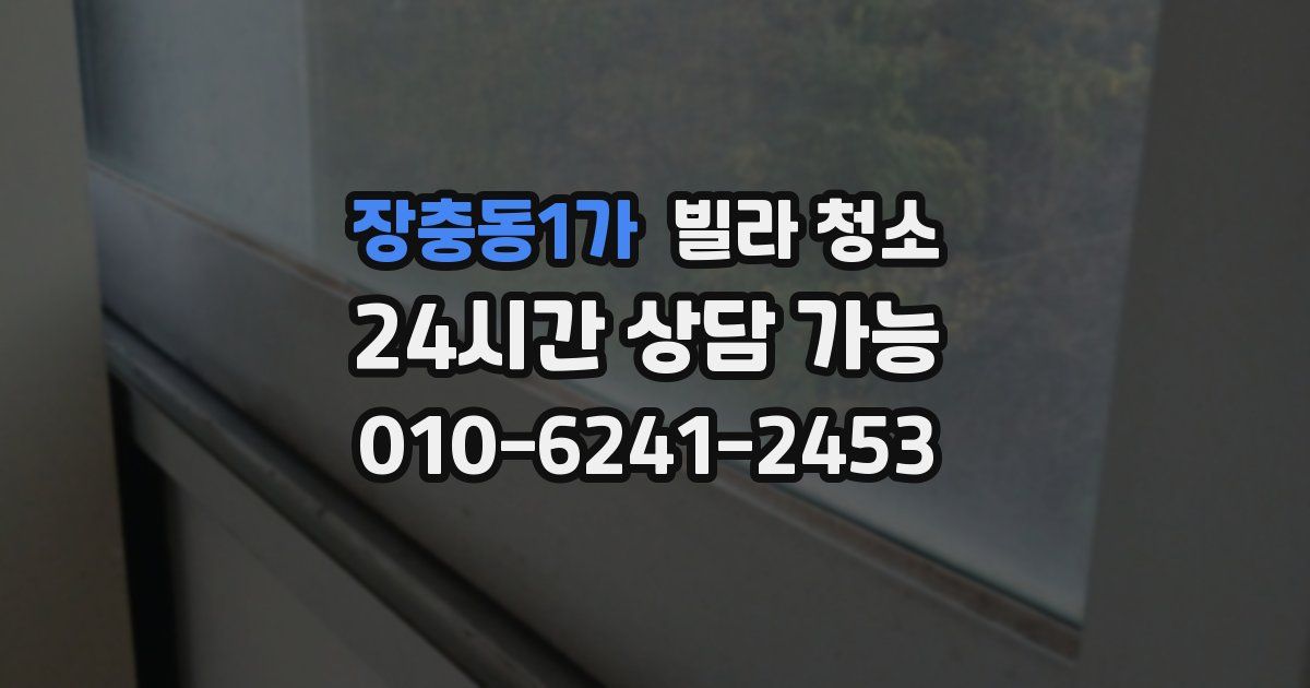 장충동1가 빌라 청소