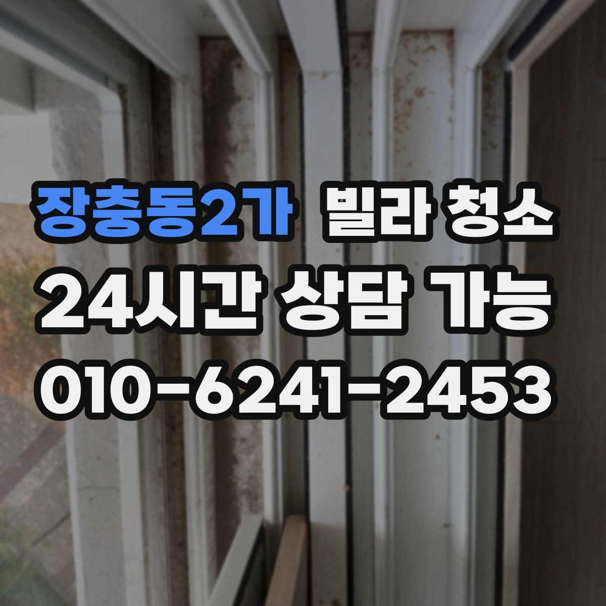 장충동2가 빌라 청소