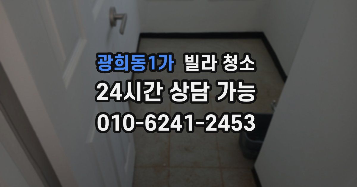 광희동1가 빌라 청소
