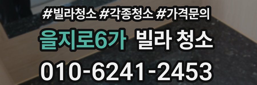을지로6가 빌라 청소