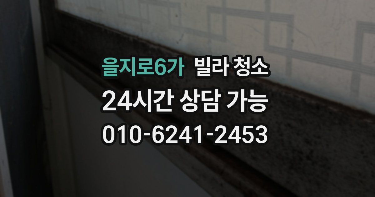 을지로6가 빌라 청소