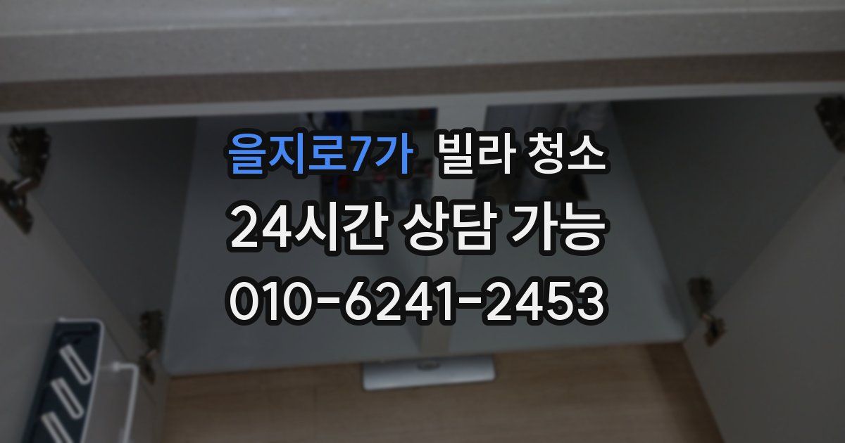 을지로7가 빌라 청소