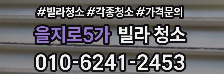 을지로5가 빌라 청소