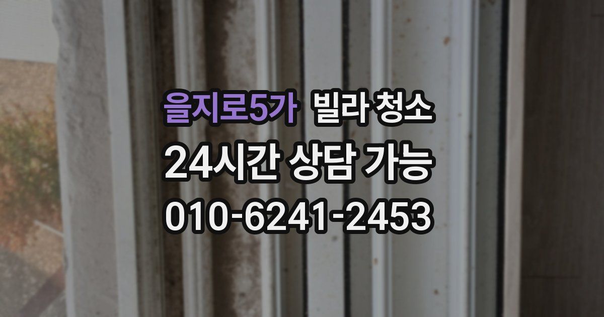 을지로5가 빌라 청소
