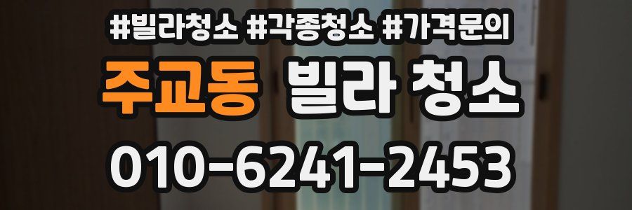 주교동 빌라 청소