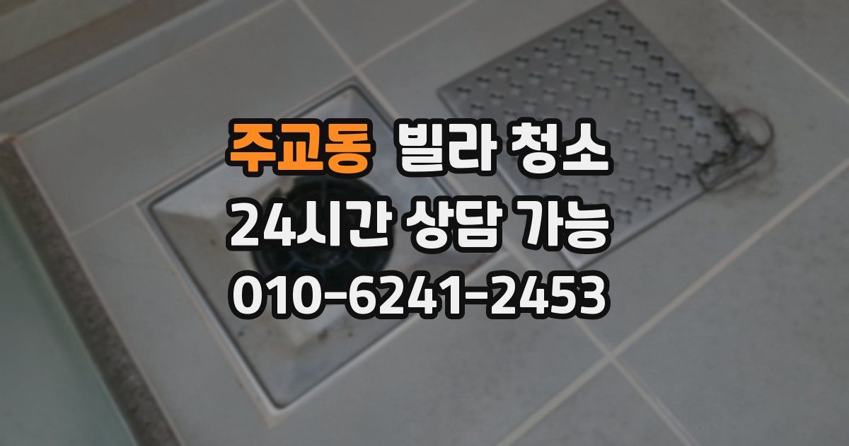 주교동 빌라 청소