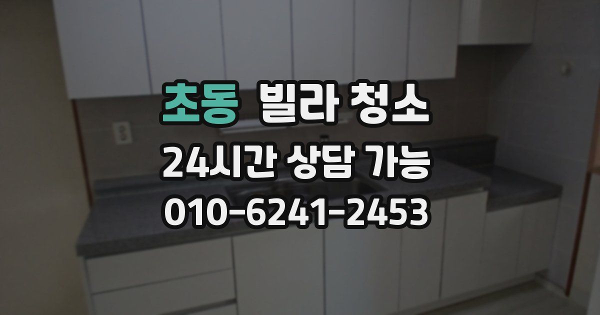 초동 빌라 청소