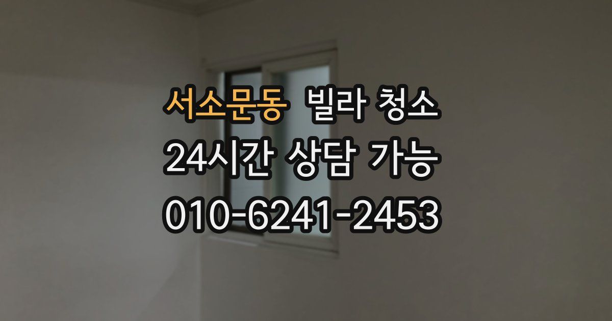 서소문동 빌라 청소