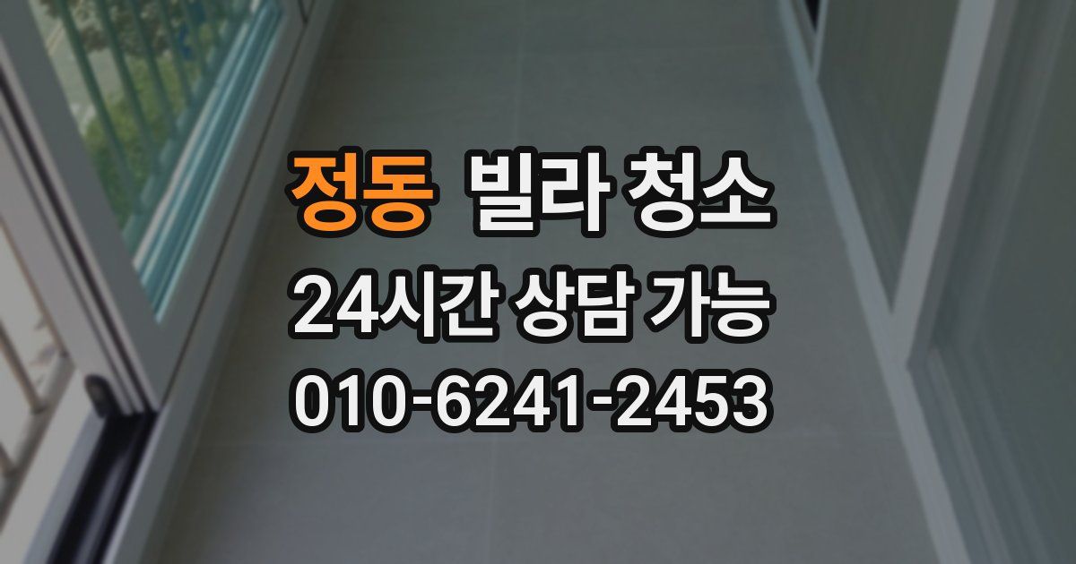 정동 빌라 청소