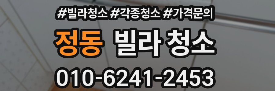 정동 빌라 청소