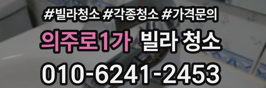 의주로1가 빌라 청소