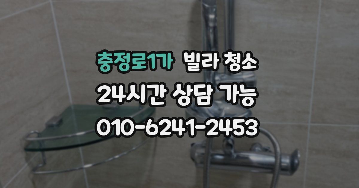 충정로1가 빌라 청소