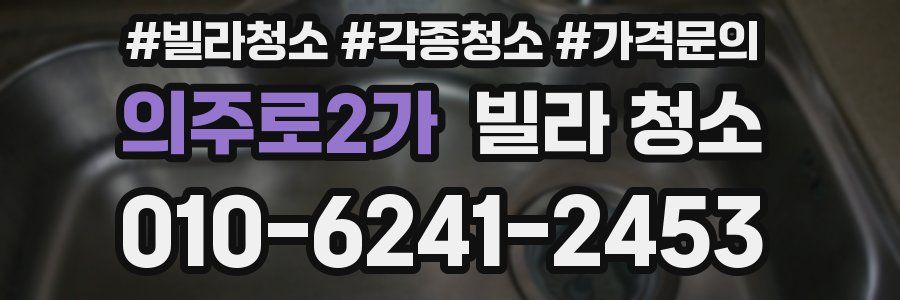 의주로2가 빌라 청소