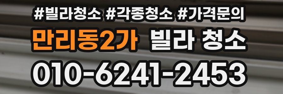 만리동2가 빌라 청소