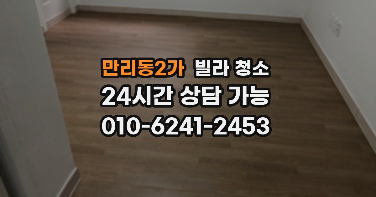 만리동2가 빌라 청소