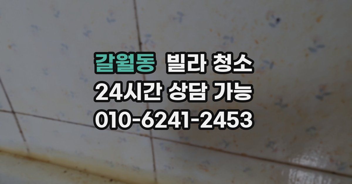 갈월동 빌라 청소