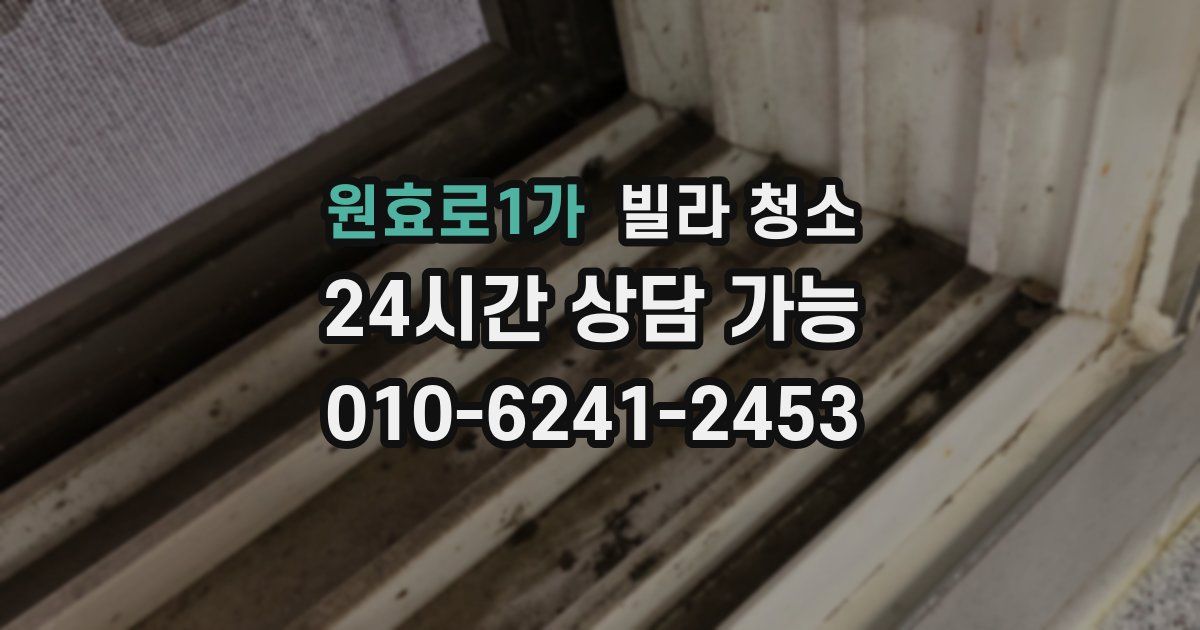 원효로1가 빌라 청소