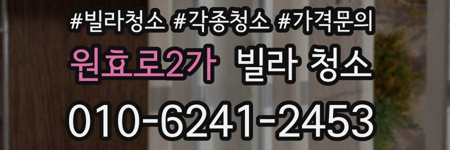 원효로2가 빌라 청소