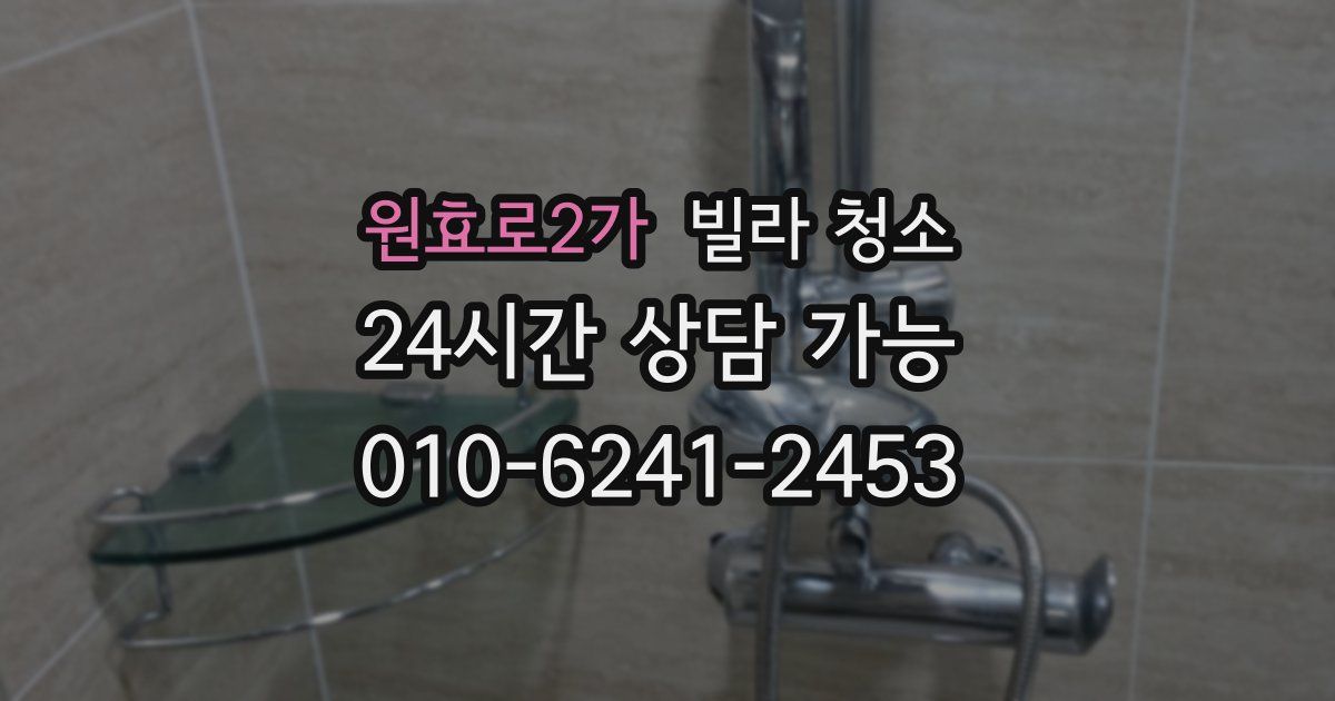 원효로2가 빌라 청소