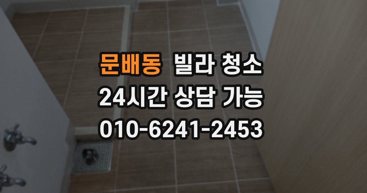 문배동 빌라 청소
