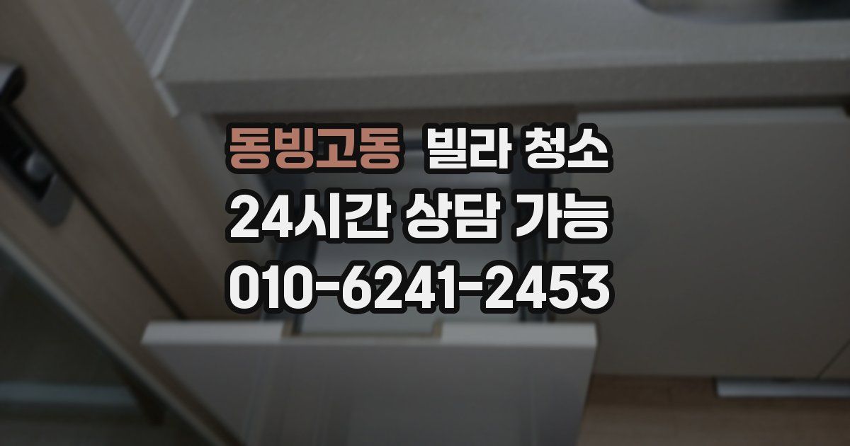 동빙고동 빌라 청소