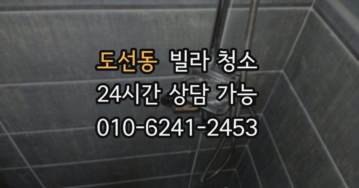 도선동 빌라 청소