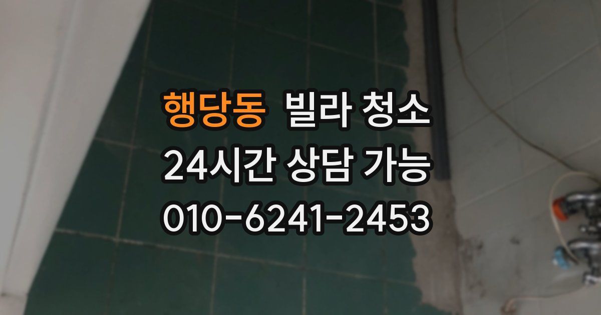 행당동 빌라 청소