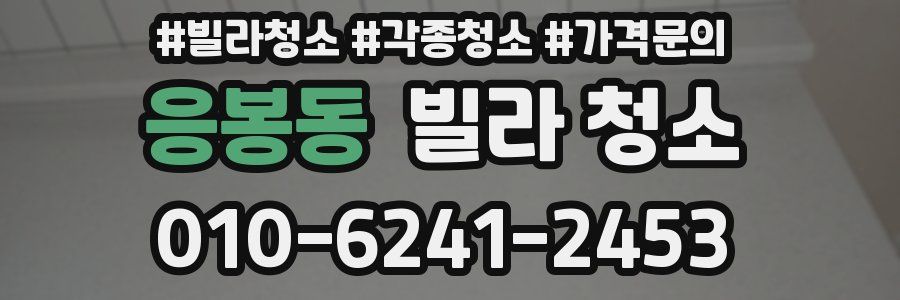 응봉동 빌라 청소