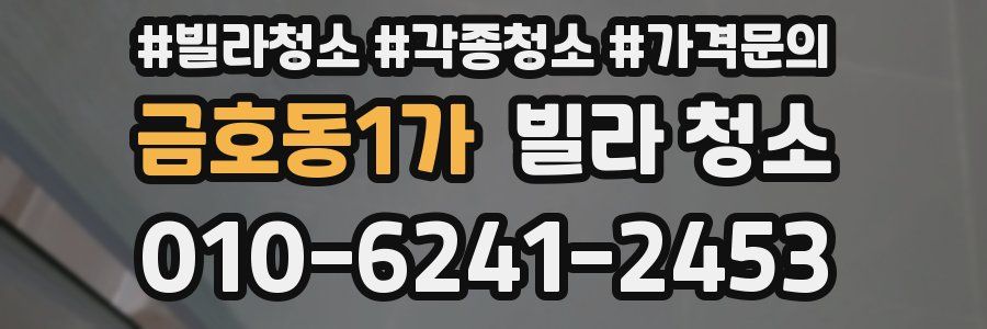 금호동1가 빌라 청소