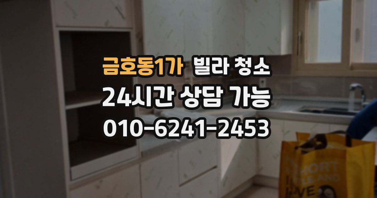 금호동1가 빌라 청소