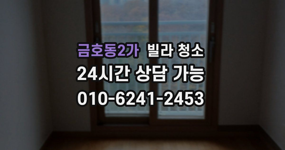 금호동2가 빌라 청소