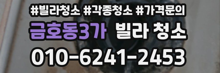 금호동3가 빌라 청소