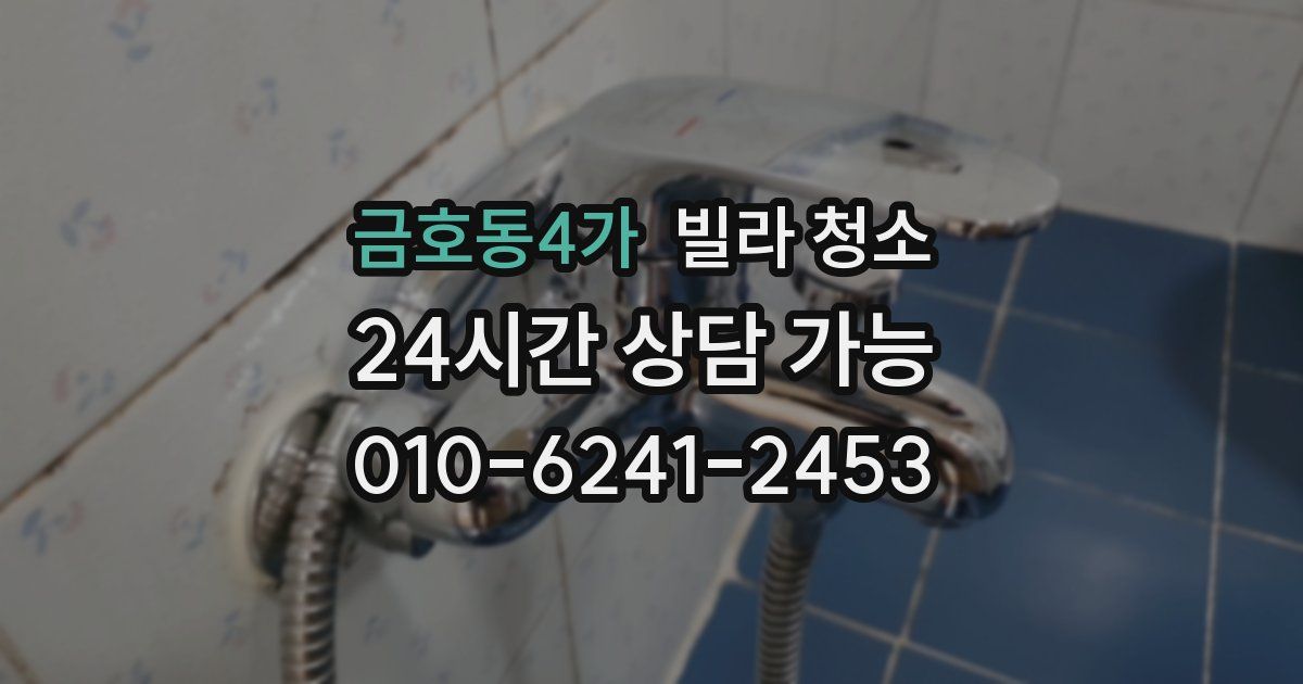 금호동4가 빌라 청소