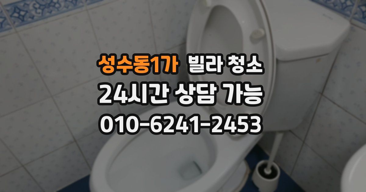 성수동1가 빌라 청소