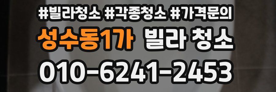 성수동1가 빌라 청소
