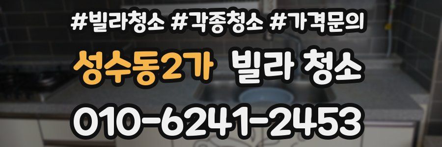 성수동2가 빌라 청소