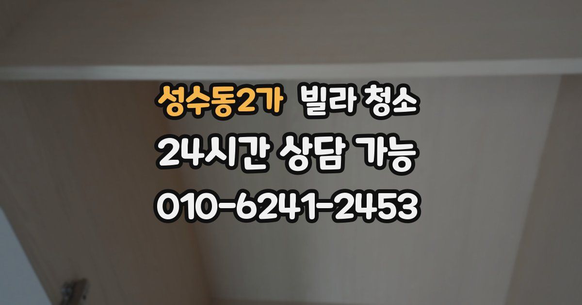 성수동2가 빌라 청소