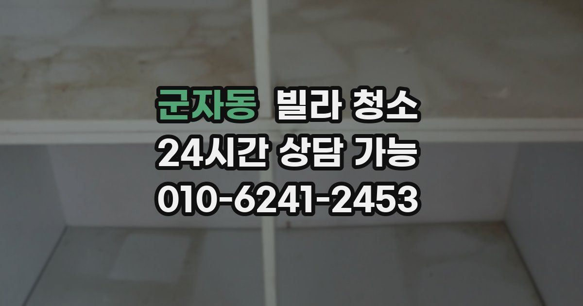 군자동 빌라 청소