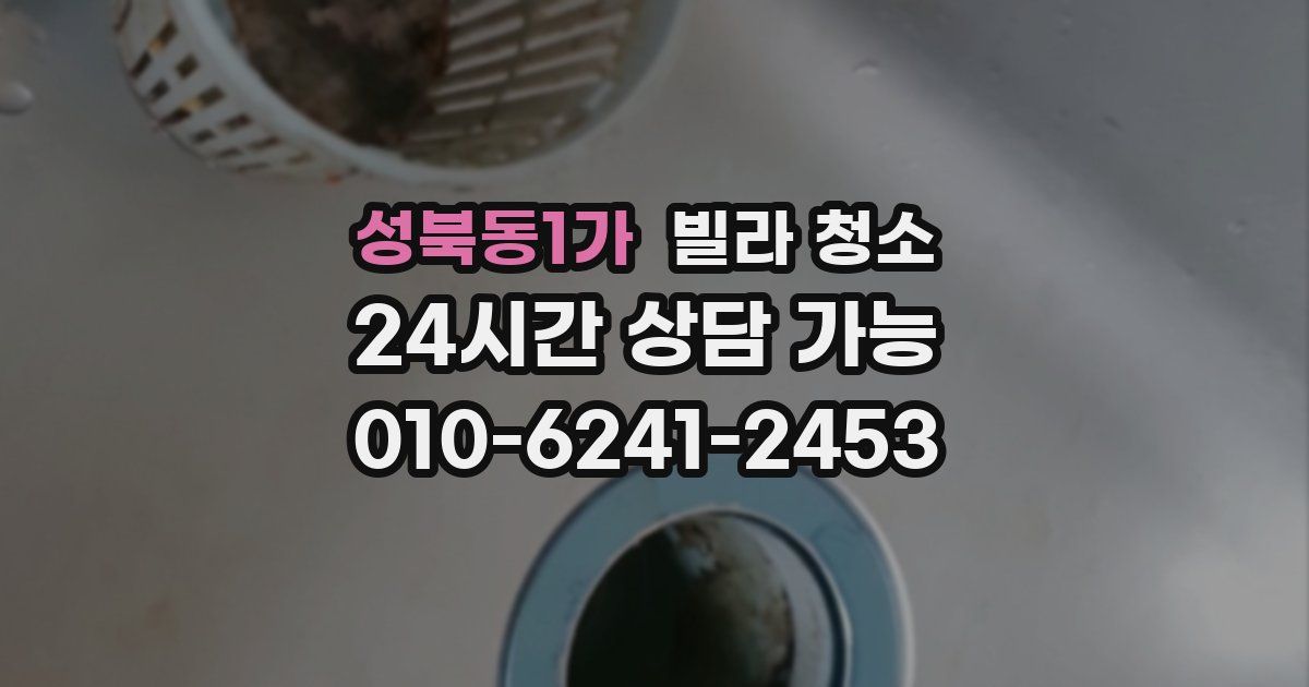 성북동1가 빌라 청소