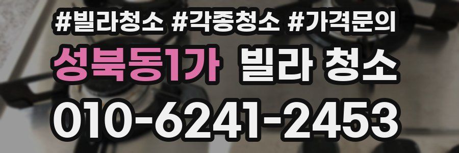 성북동1가 빌라 청소