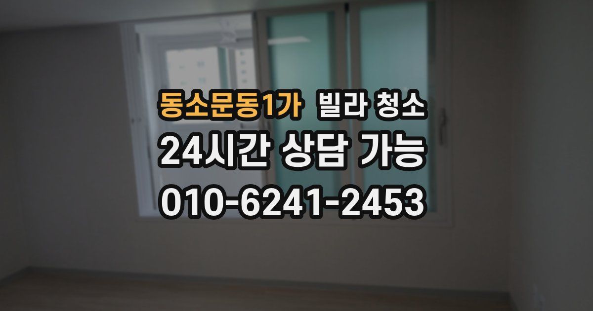 동소문동1가 빌라 청소