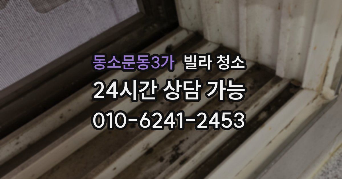 동소문동3가 빌라 청소