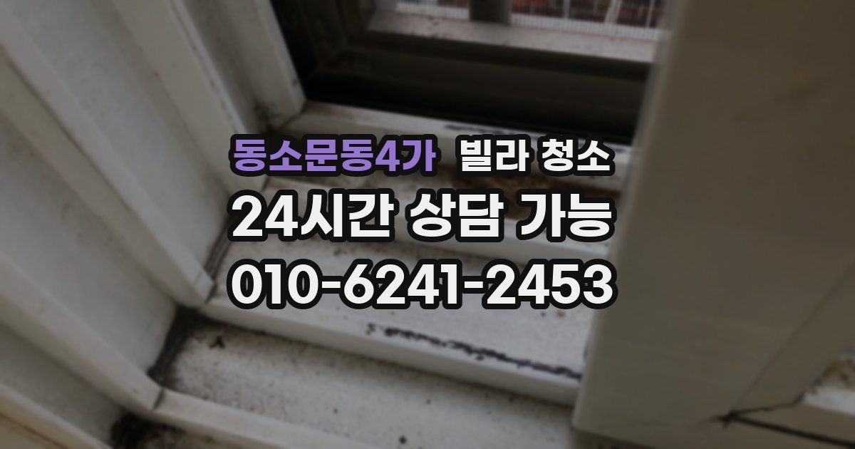 동소문동4가 빌라 청소